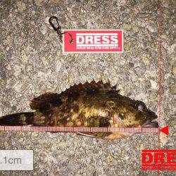 癒しのメバリーング❤